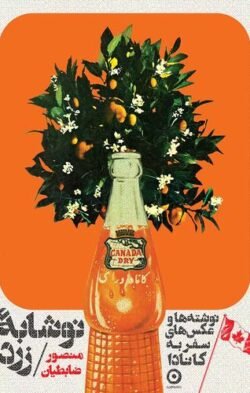 نوشابه زرد: نوشته ها و عکس های سفر به کانادا