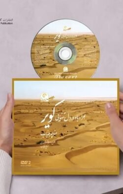همراه باد در دل تنهایی کویر