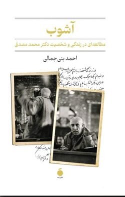 آشوب: مطالعه ای در زندگی و شخصیت دکتر محمد مصدق