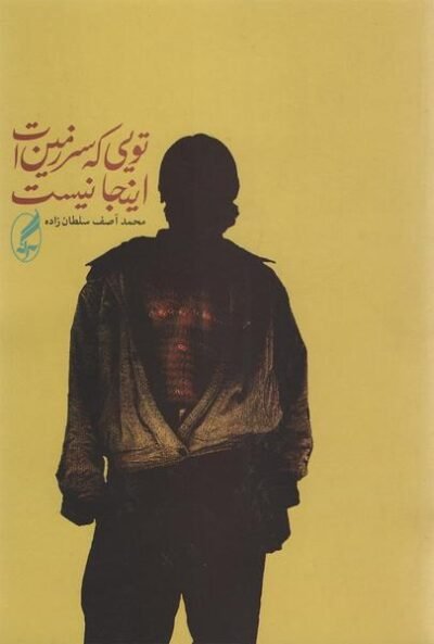 تویی که سرزمین ات این جا نیست (مجموعه داستان)