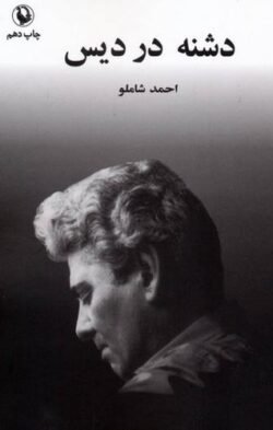 دشنه در دیس: مجموعه‌ی شعر