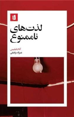 جلد کتاب لذت  های ناممنوع