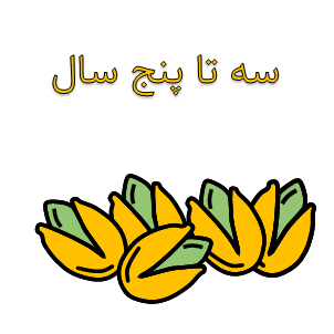 کتاب کودک برای ۳ تا ۵