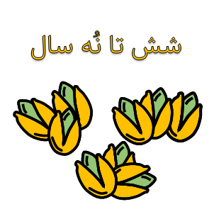 کتاب کودک برای ۶ تا ۱۶ ۹