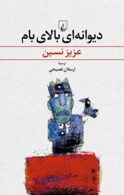 دیوانه ای بالای بام
