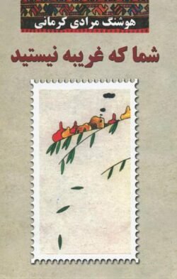 جلد کتاب شما که غریبه نیستید
