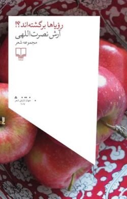 جلد کتاب رویاها برگشته اند؟!: مجموعه شعر