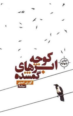 جلد کتاب کوچه ی ابرهای گم شده